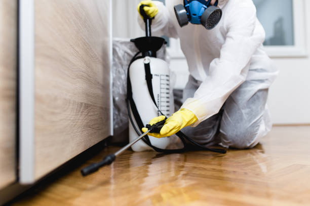 Best Residential Pest Control  in Charlotte Harbor, FL