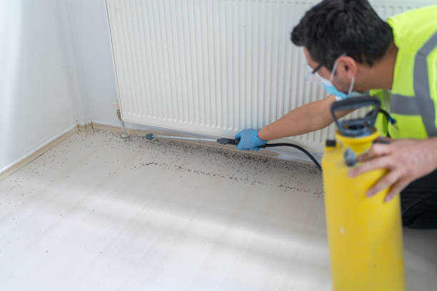 Best Flea Control Services  in Charlotte Harbor, FL