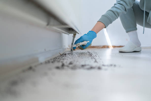 Best Pest Prevention Services  in Charlotte Harbor, FL