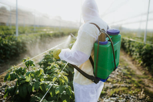 Best Rat Extermination Near Me  in Charlotte Harbor, FL